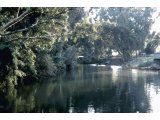 Jordan river near exit from Galilee, traditional site of baptism of Christ